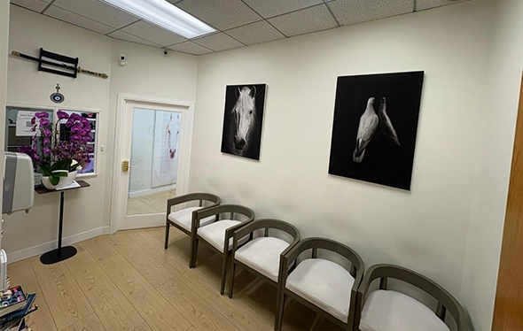 Waiting Area At Natures Remedy Clinic - Woodland Hills